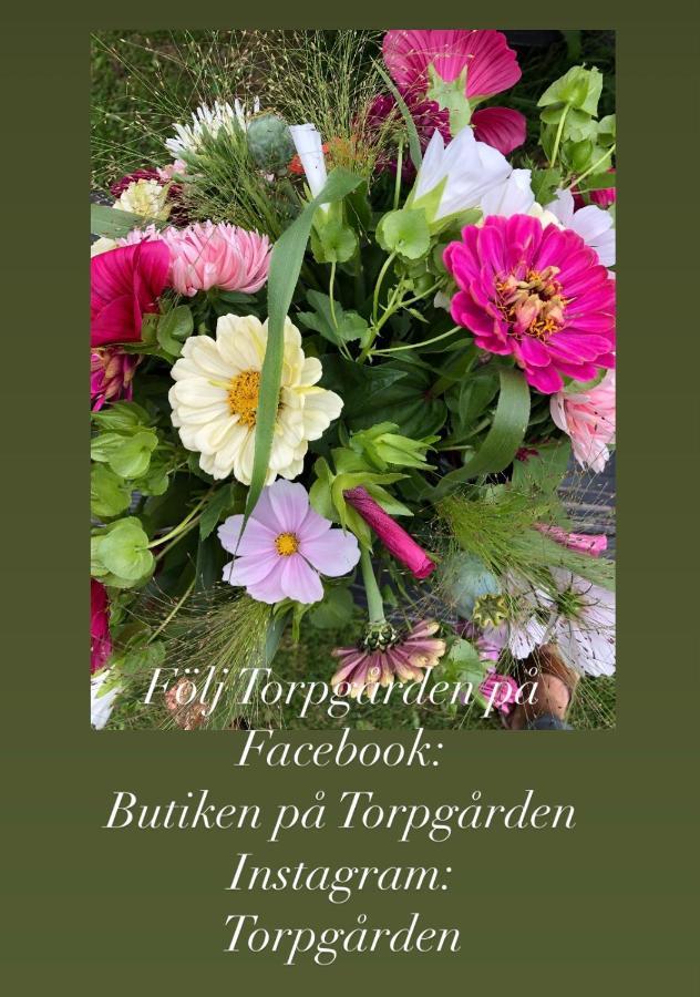 Torpgarden Oennerudsvaegen 56 Apartment Torsby Luaran gambar